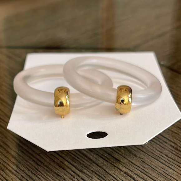 Frosted Lucite Door Knocker Earrings - Picture 12 of 16